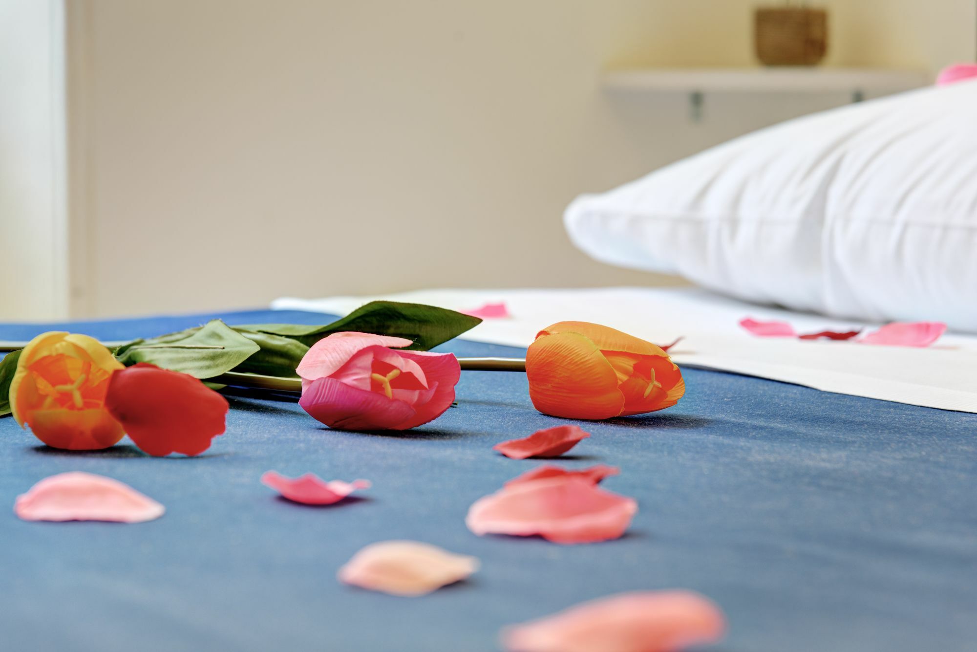 Ad Hoc Guest House 로마 외부 사진